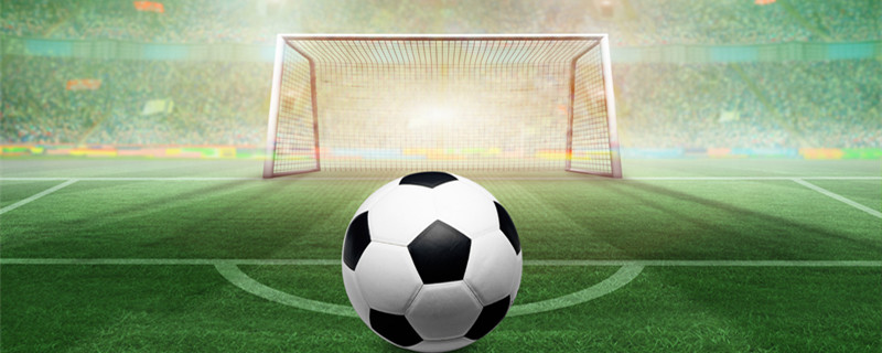 设计师在采 设计师在采